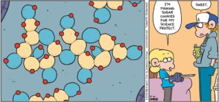 FoxTrot by Bill Amend - "Sugar Cookies" published December 16, 2018 - [Close up of Jason's sugar cookies, which is a sucrose molecule] Jason says: I'm making sugar cookies for my science project. Peter says: Sweet.