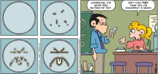 FoxTrot by Bill Amend - "Blecchteria" published February 26, 2017 - Biology teacher: Interesting. I've never seen bacteria do that. Paige says: See?! Even THEY think this lab assignment is gross.